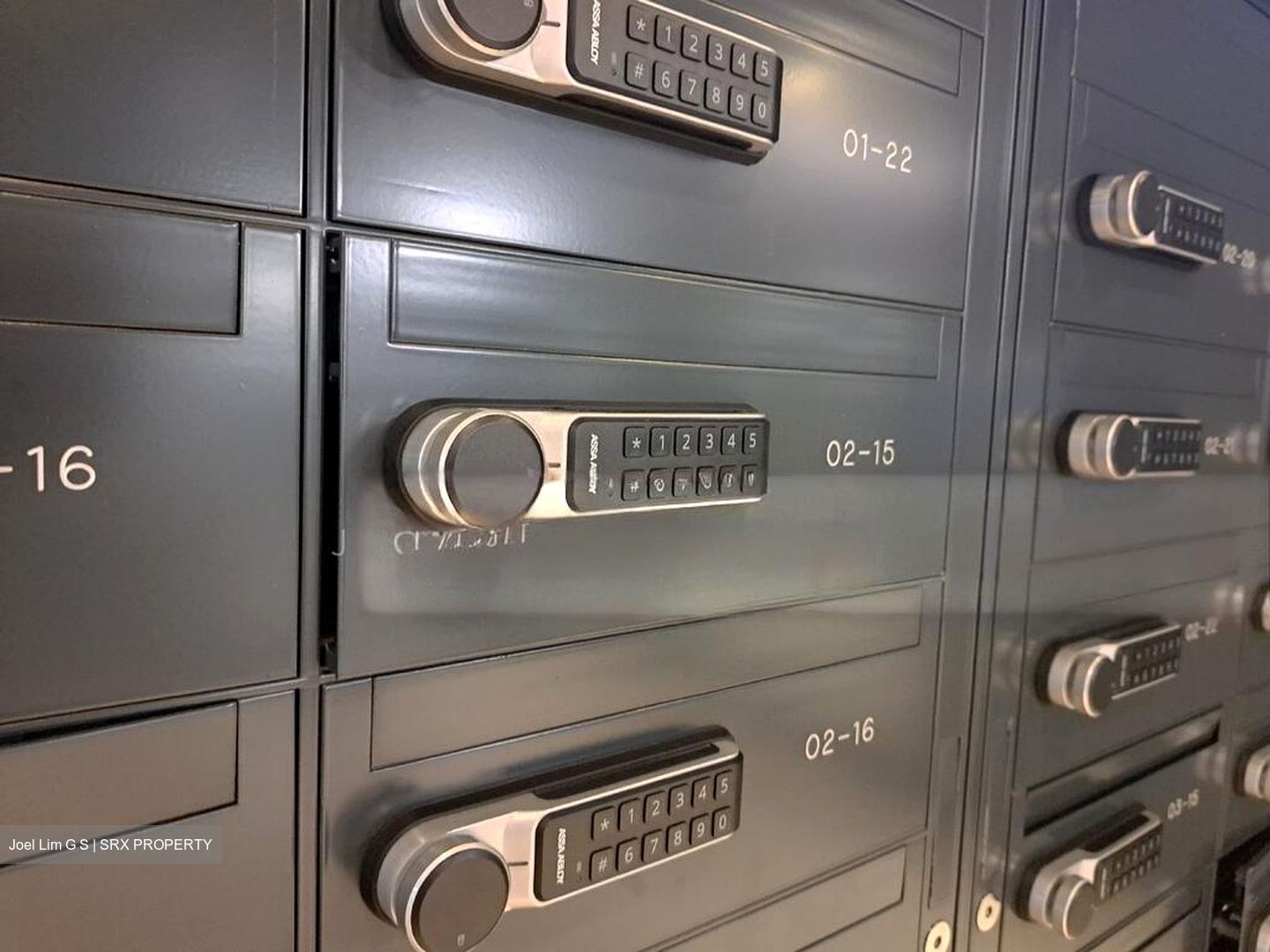 Royalgreen (D10), Condominium #503176301